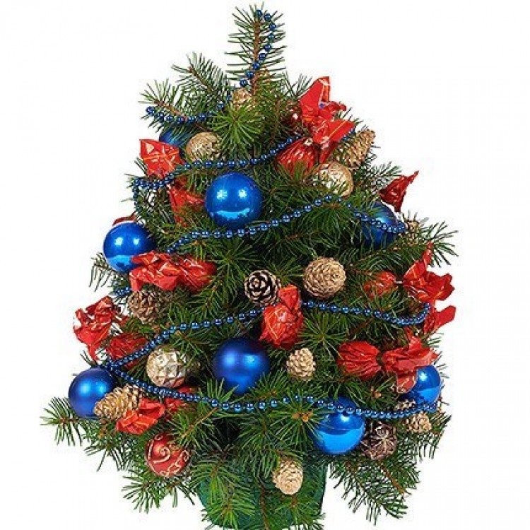 Sale Christmas tree Svetoch
