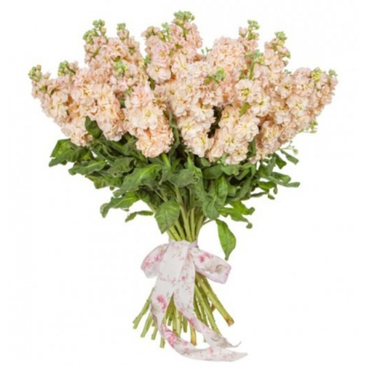 Bouquets Bouquet with mattiola 