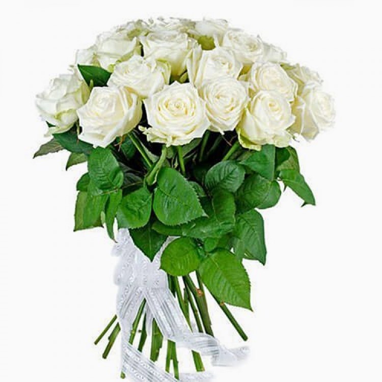 Sale Bouquet of 25 white roses Russia 40 cm
Sale Bouquet of 25 white roses Russia 40 cm