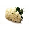 25 white ROSE BOUQUET 40 cm 25 white ROSE BOUQUET 40 cm