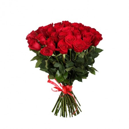 25 красных роз Эквадор 70см