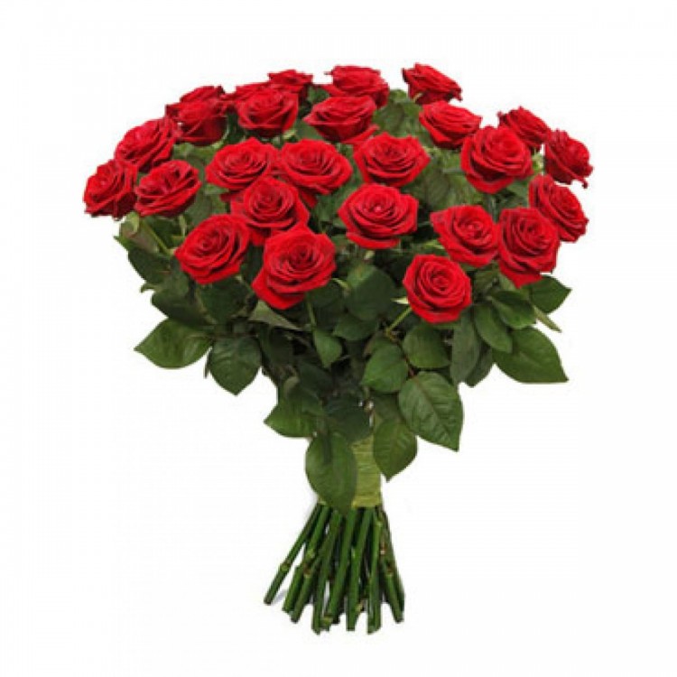Sale Bouquet of 25 red roses 70 cm
Sale Bouquet of 25 red roses 70 cm