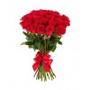 25 red rose bouquet Ecuador