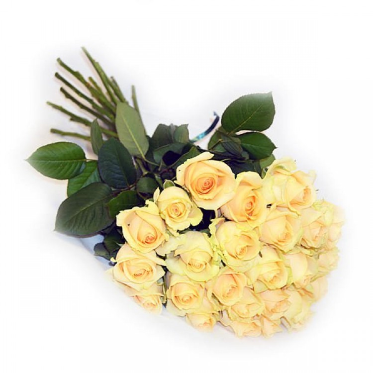 Sale 25 peach roses 50 cm
