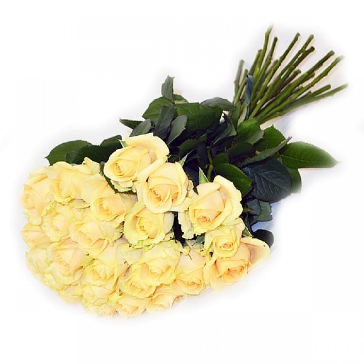 Sale 25 peach roses 50 cm
