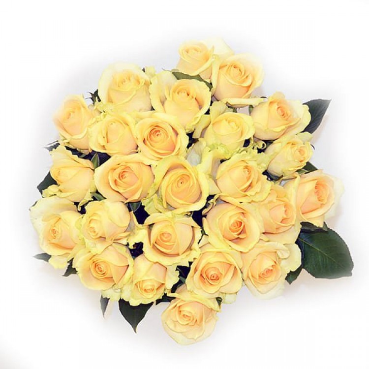 Sale 25 peach roses 50 cm
