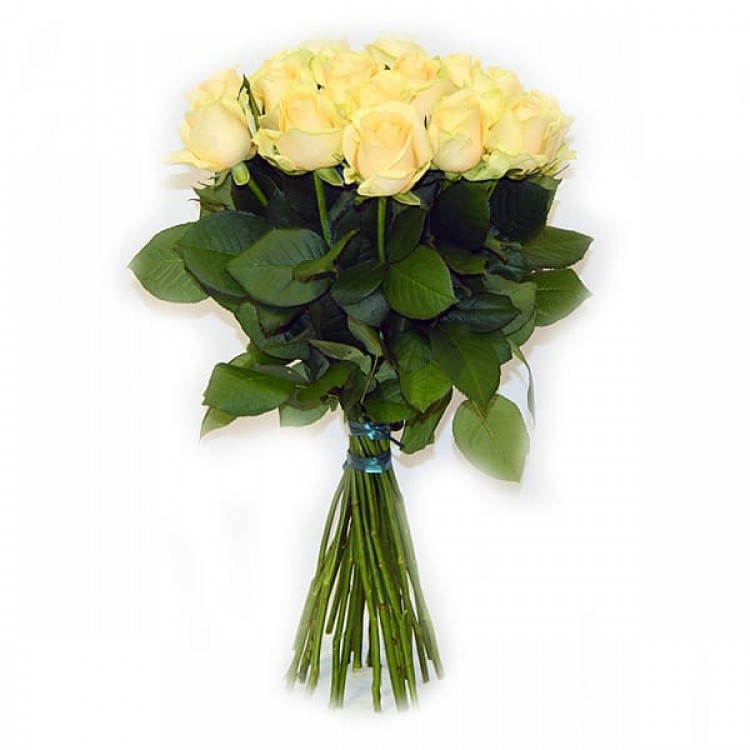 Sale 25 peach roses 50 cm
