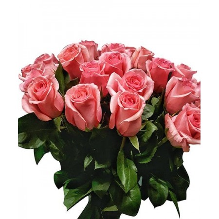 25 розовых роз Эквадор с доставкой по СПб