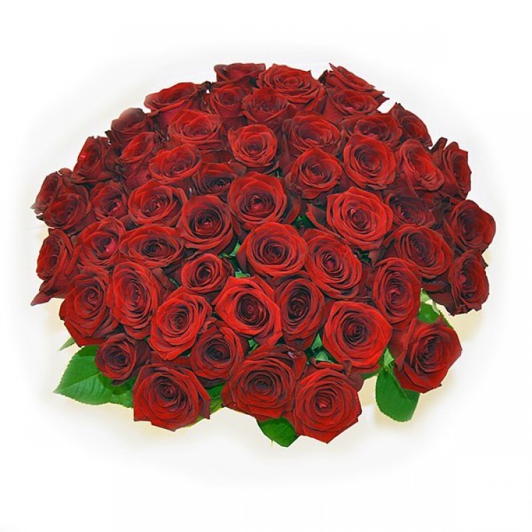 Букет 51 красная роза 50 см