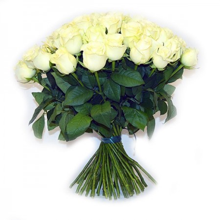 Букет 51 белая роза 50 см