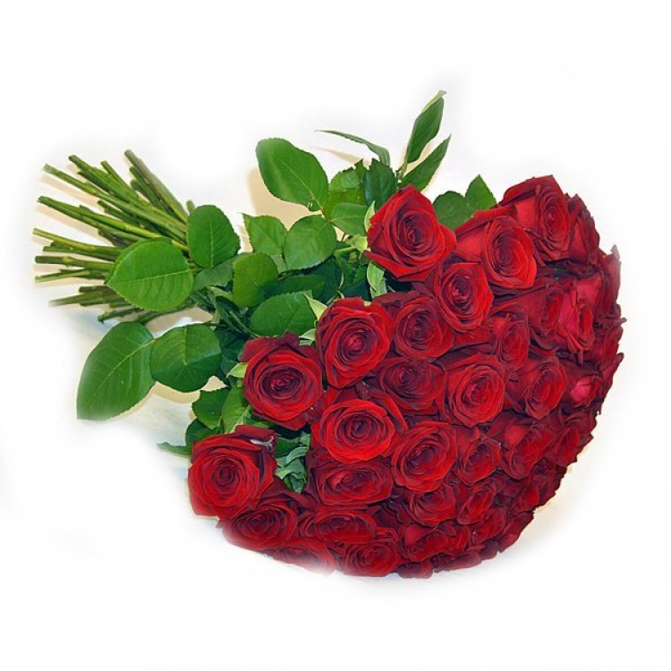 Букет 51 красная роза 50 см