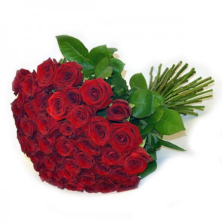 Букет 51 красная роза 50 см