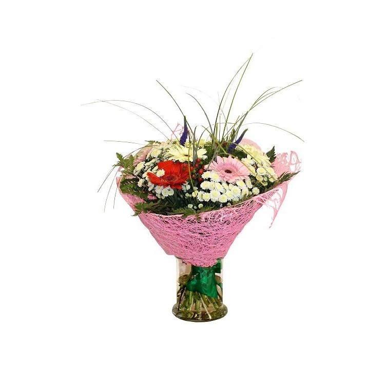 Gerberas