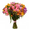 15 Alstroemeria mix