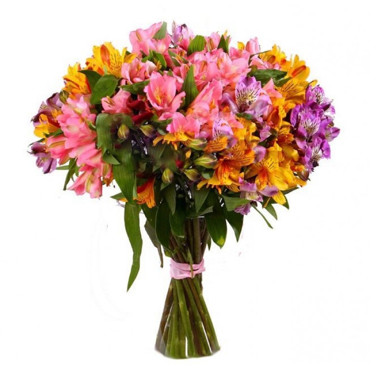 Sale 15 Alstroemeria mix