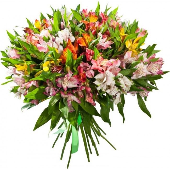 25 Alstroemeria mix