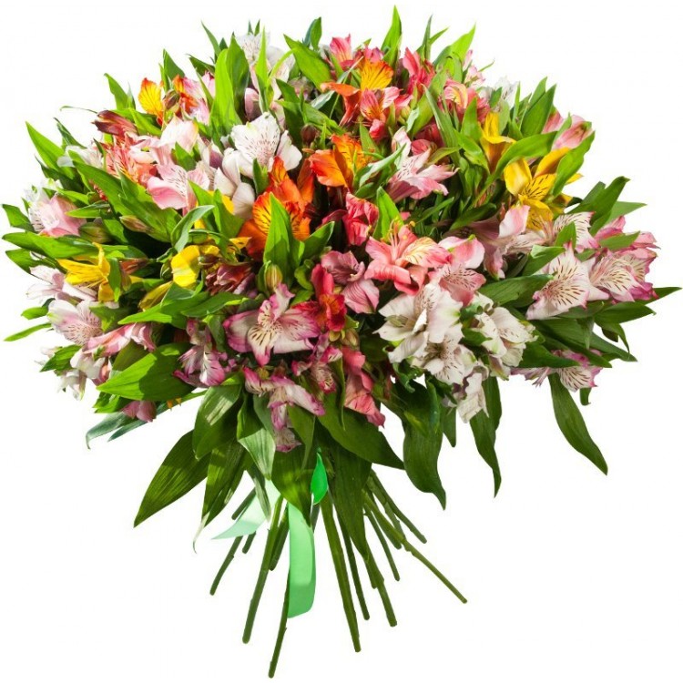 Sale 25 Alstroemeria mix