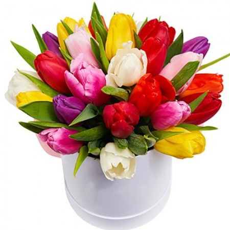 Купить тюльпаны в шляпной коробке с доставкой по СПб