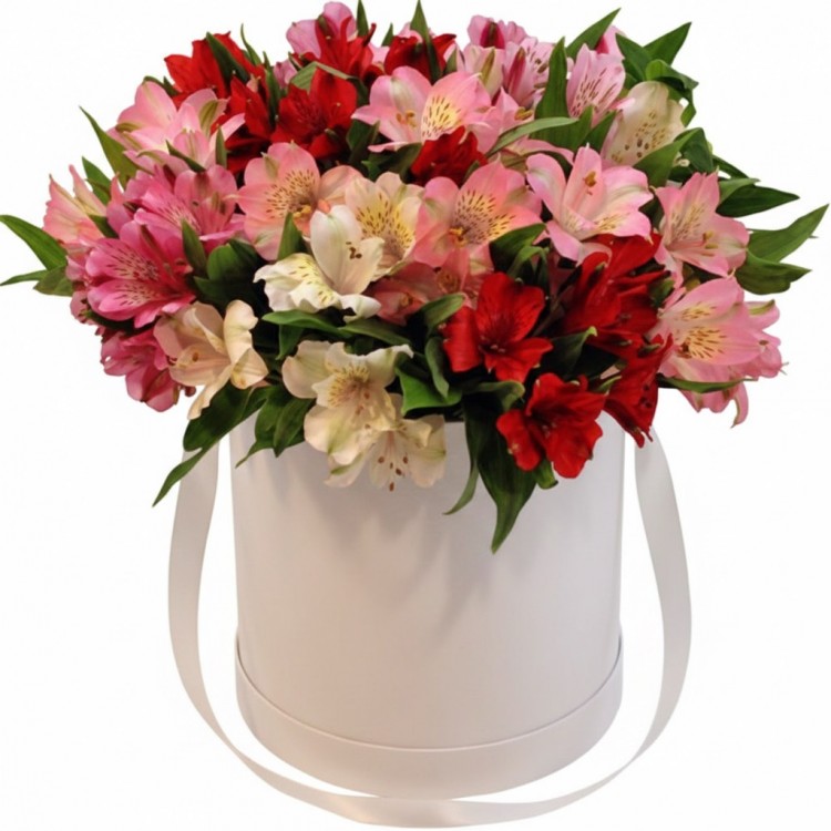 Sale Flowers in a Box Happiness Sale Flowers in a Box Happiness