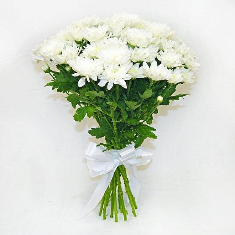 Sale Bouquet of white chrysanthemums Sale Bouquet of white chrysanthemums