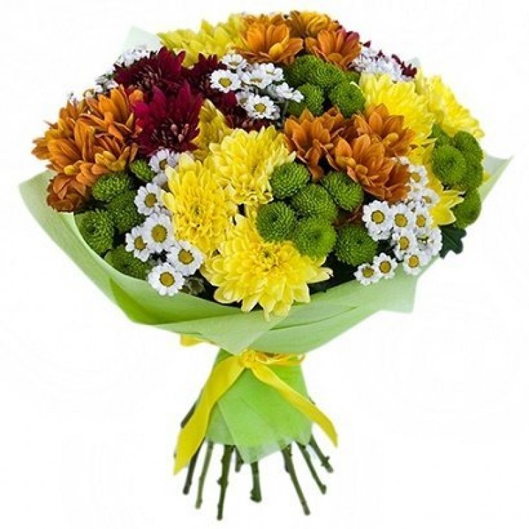Sale Chrysanthemums mix
Sale Chrysanthemums mix