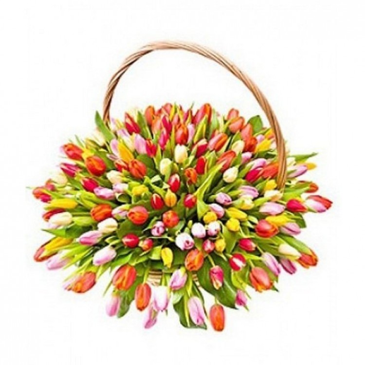 Sale Basket with 101  tulips
