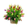Basket with tulips
