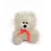 Sale Bear Toptig white