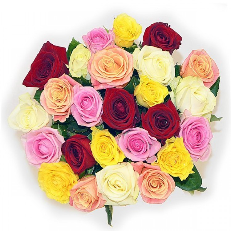 Букет 25 роз микс 50 см