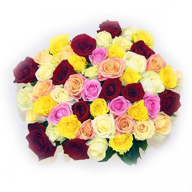 Букет 51 роза микс 50 см