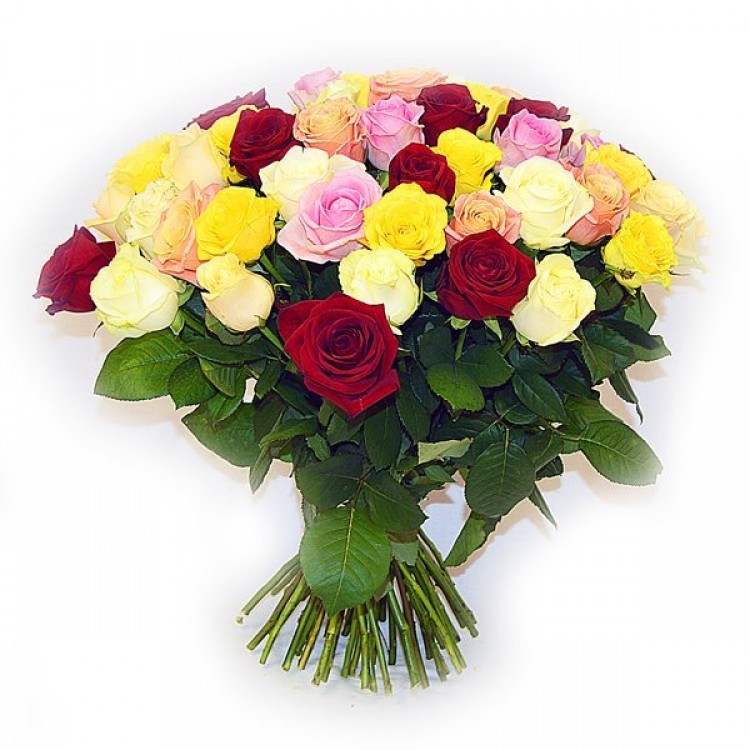 Sale  51 roses Mix 40 cm
