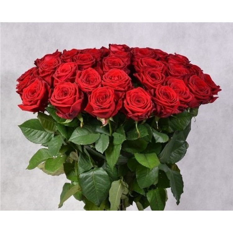 Букет 41 красная роза 50 см
