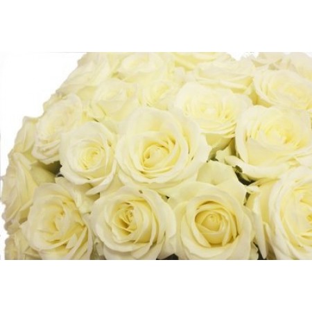 Купить букет 25 белых роз недорого с доставкой по СПб