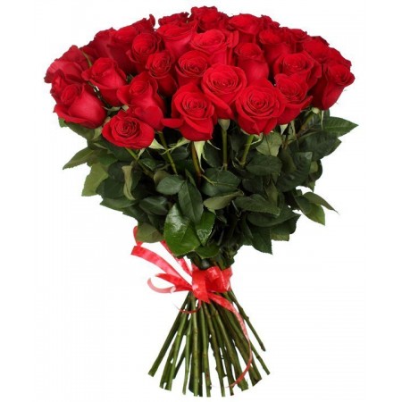 Купить 25 красных роз в СПб с доставкой