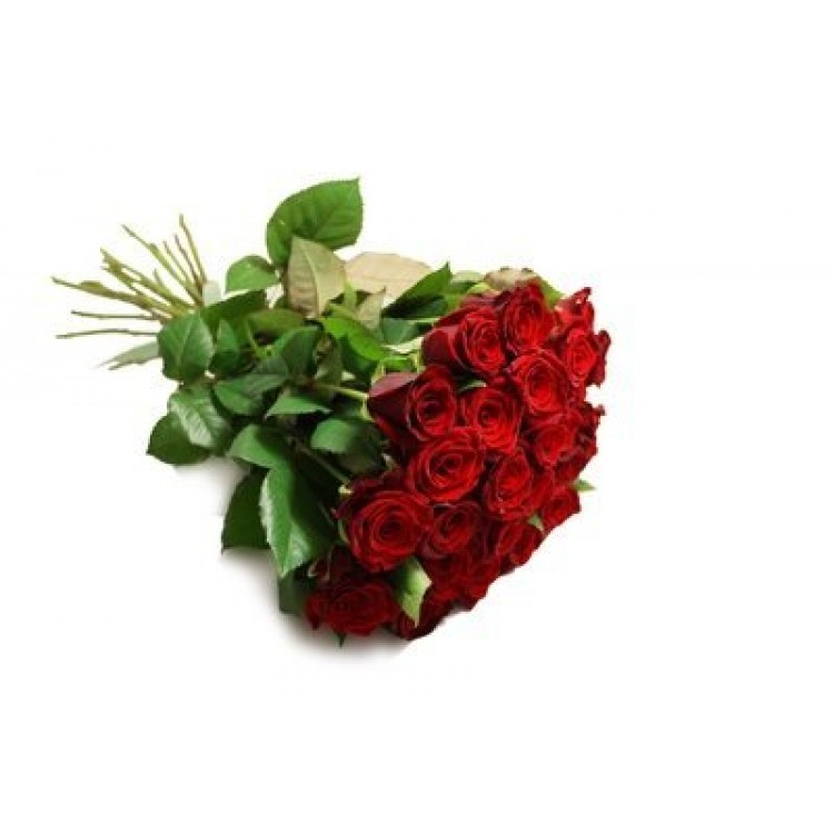 Sale Bouquet of 25 red roses 70 cm
Sale Bouquet of 25 red roses 70 cm