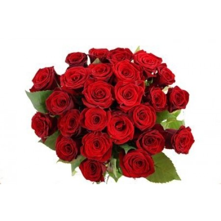 Купить длинные розы в СПб дешево с доставкой