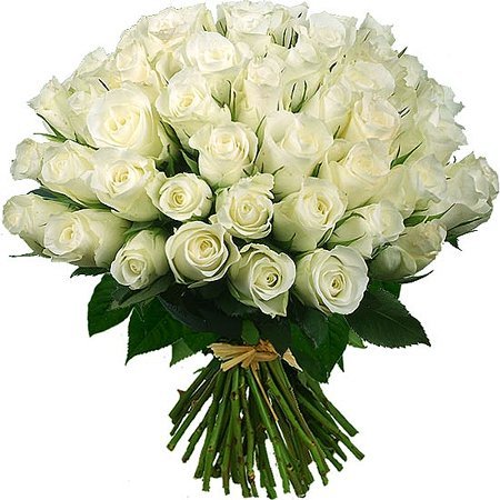 Купить белые розы 60 см в СПб с доставкой