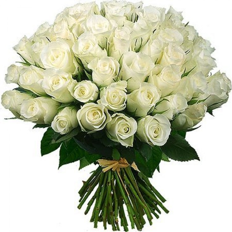 Sale 51 WHITE ROSES 60 CM
