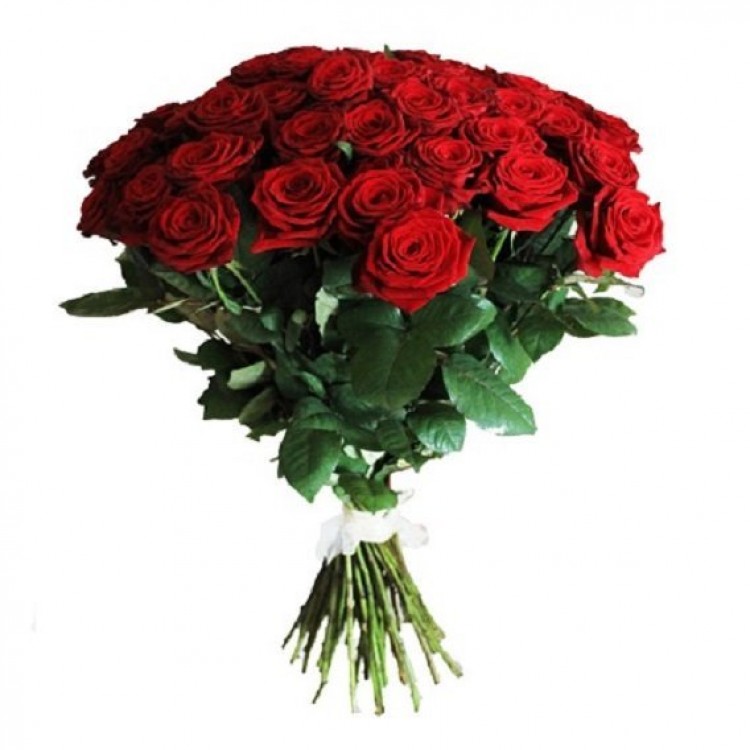 Букет 51 роза красная 60 см
