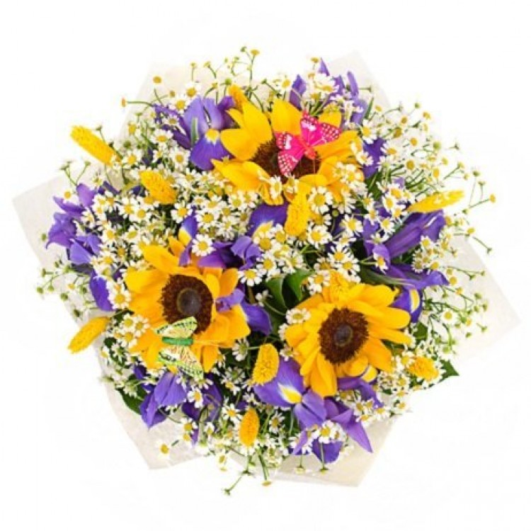 Солнечная Сказка
