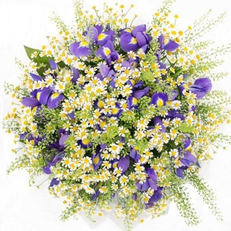 Sale Charm of Forest
