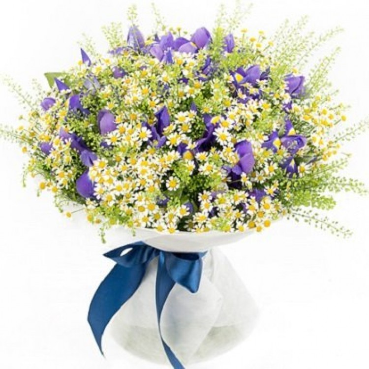 Sale Charm of Forest
