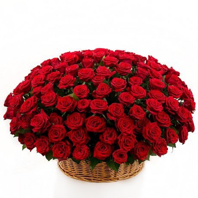 Basket of 201 Roses

