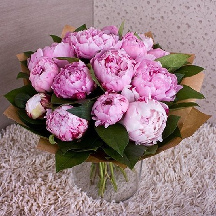 Sale Peonies