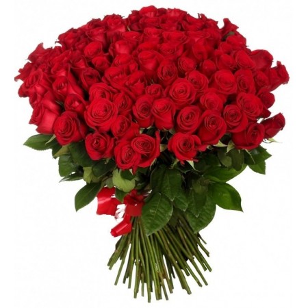 Букет 101 роза красная 60 см