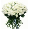 101 Roses White 60cm
