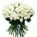 Sale 101 Roses White 60cm