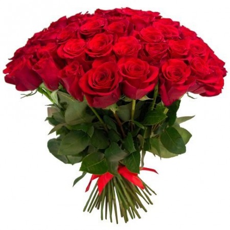 Купить 101 красную розу в Санкт Петербурге