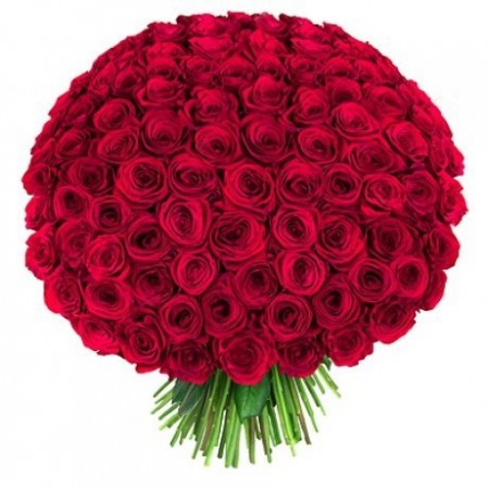 Купить 101 красную розу в Санкт Петербурге