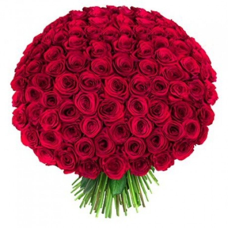Sale Bouquet 101 roses red 60 cm
